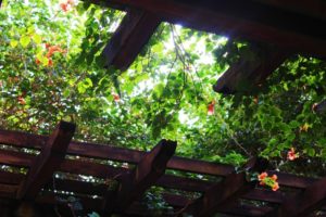 other outdoor